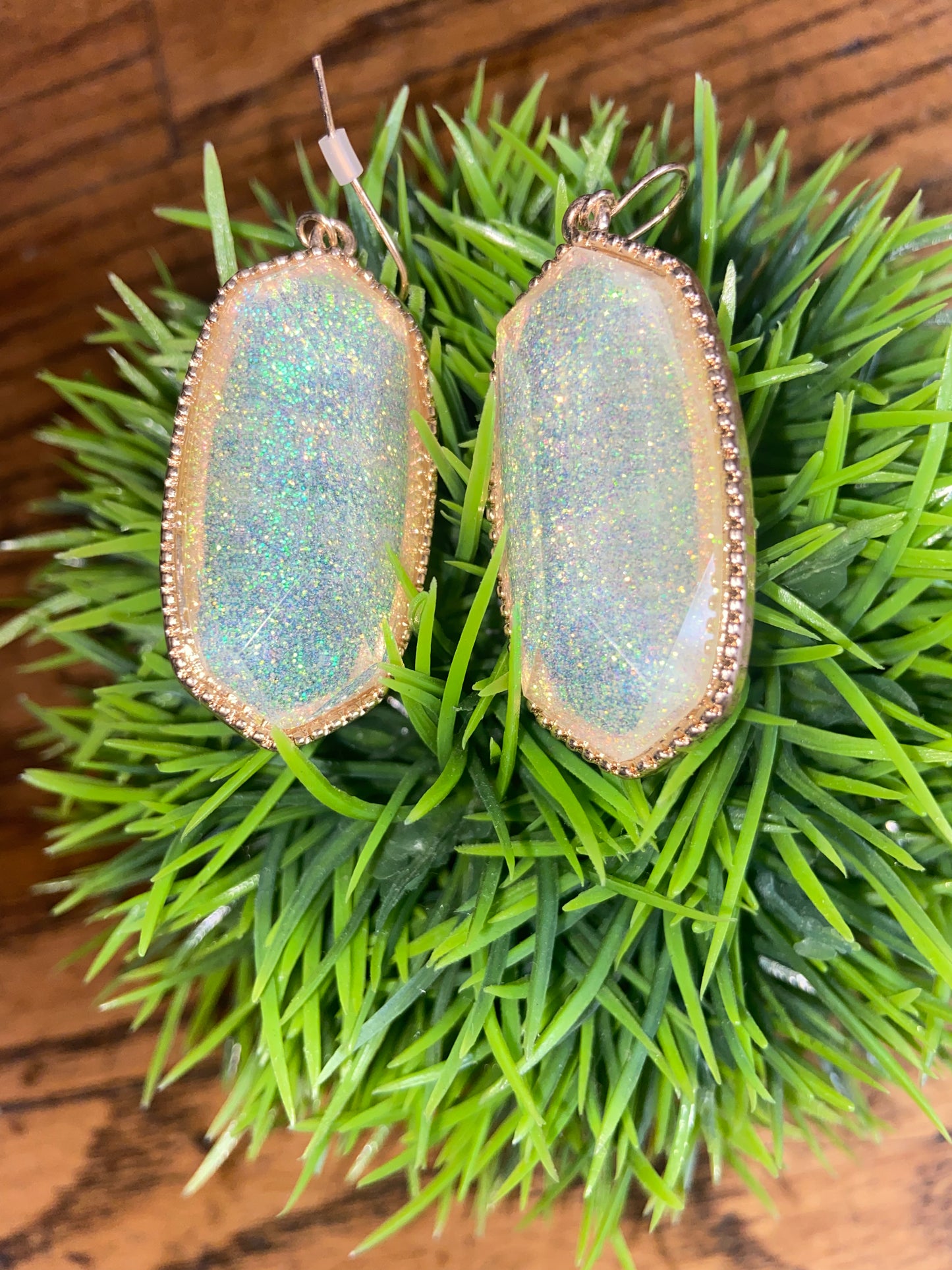 Shimmer & Shine Earrings