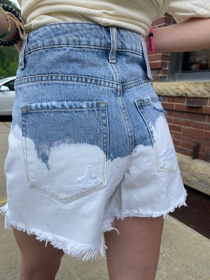 Dip in the Lake Shorts