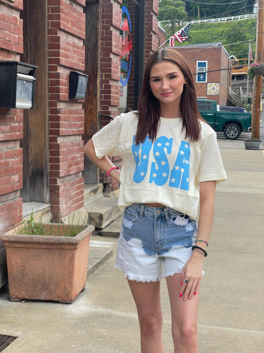 Dip in the Lake Shorts