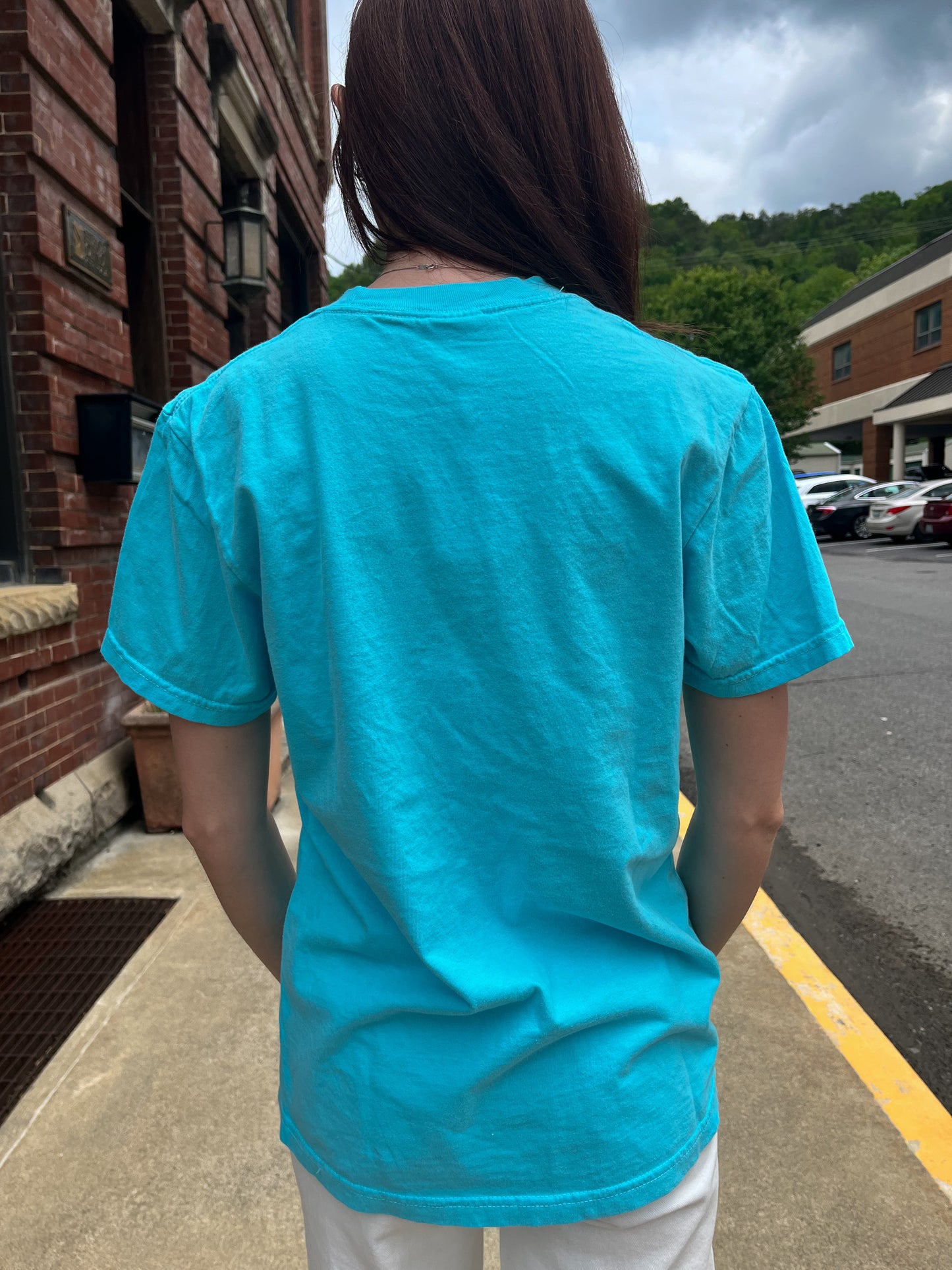 Into the Lagoon America Tee