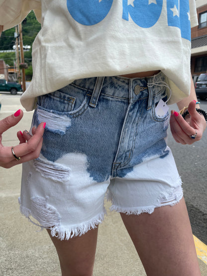 Dip in the Lake Shorts