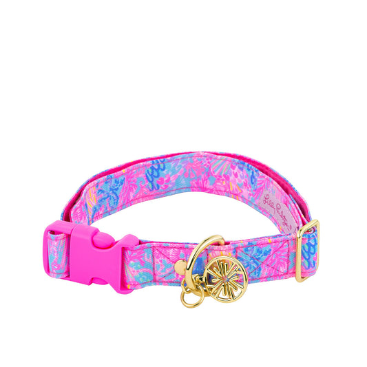 Dog Collar, Splendor in the Sand (M/L)