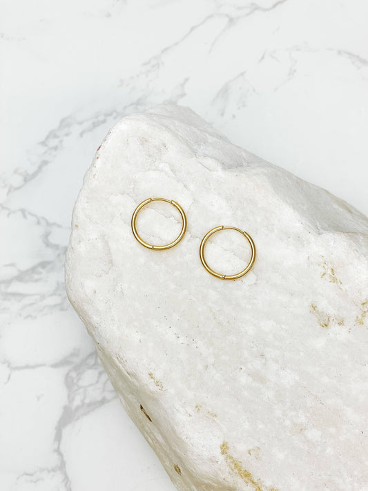 Stainless Steel Hoop Earrings