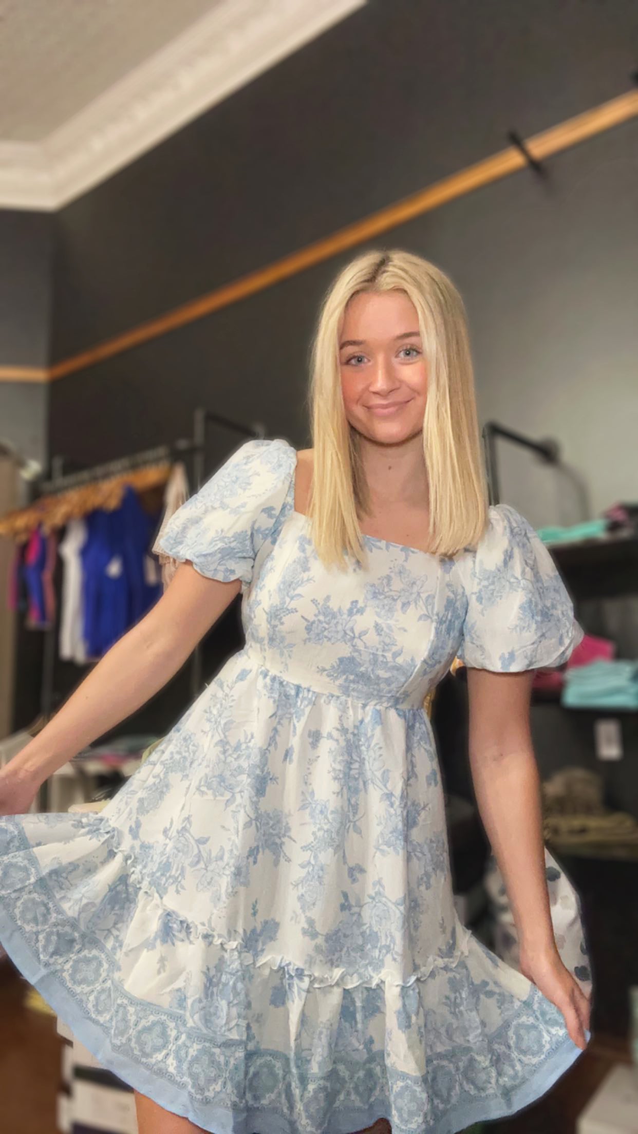 The Blue Toile Dress