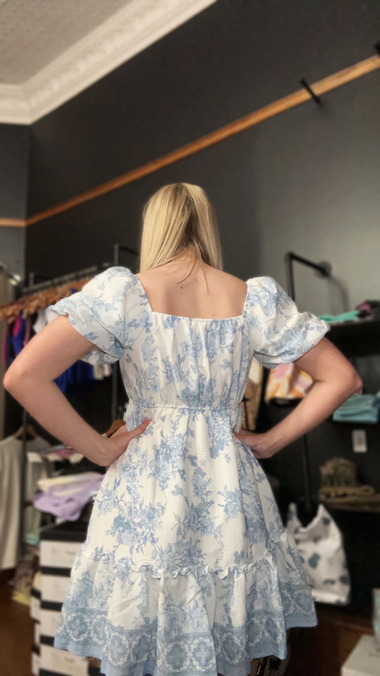 The Blue Toile Dress 1842 Boutique The Blue Toile Dress 1842 Boutique